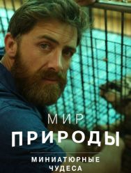 Мир природы. Миниатюрные чудеса