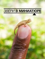Звери в миниатюре