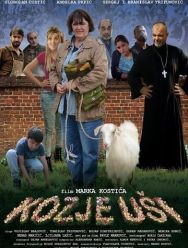 Kozje usi