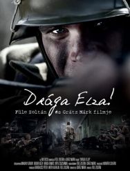 Дорогая Эльза!