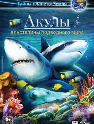 Акулы 3D: Властелины подводного мира