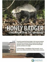 Ultimate Honey Badger