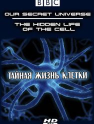 Внутренняя вселенная: Тайная жизнь клетки