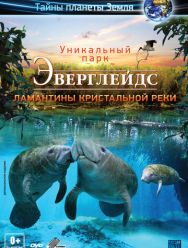 Эверглейдс 3D: Ламантины Кристальной реки