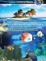 Багамские острова 3D: Таинственные пещеры и затонувшие корабли