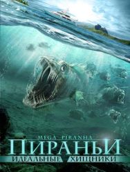 Пираньи: Идеальные хищники